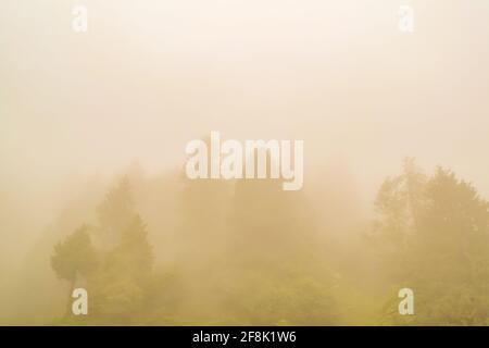 Silhouette des bewaldeten himalaya-Berghangs mit immergrünen Nadelbäumen Umgeben von einer nebligen Landschaft vom prashar See-Basislager In Höhe von Stockfoto