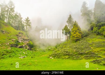 Silhouette des bewaldeten himalaya-Berghangs mit immergrünen Nadelbäumen Umgeben von einer nebligen Landschaft vom prashar See-Basislager In Höhe von Stockfoto