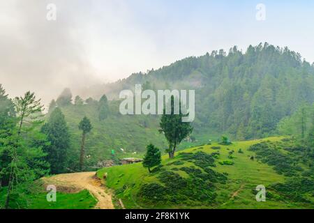 Silhouette des bewaldeten himalaya-Berghangs mit immergrünen Nadelbäumen Umgeben von nebliger sceinischer Landschaft Blick vom prashar Seeufer Zelte bei ihm Stockfoto