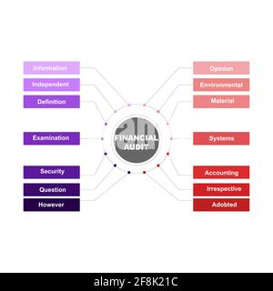 Diagrammkonzept mit Text und Schlüsselwörtern für Finanzaudit. EPS 10 isoliert auf weißem Hintergrund Stock Vektor