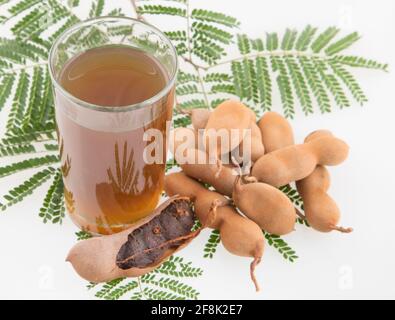 Tamarindensaft in einem Glas, umgeben von frischen reifen Tamarinden - Tamarindus indica Stockfoto