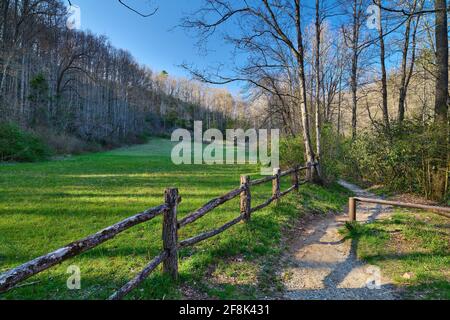 Wanderweg im Pisgah National Forest North Carolina. Stockfoto