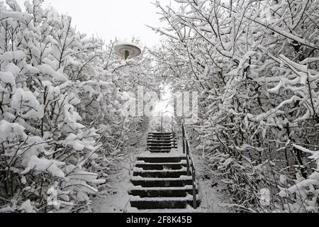 Blick auf die Treppe, die im Park von Bäumen voller Schnee umgeben ist. Stockfoto