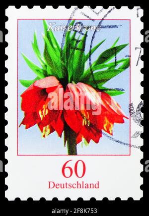 MOSKAU, RUSSLAND - 7. OKTOBER 2019: Die in Deutschland gedruckte Briefmarke zeigt Fritillaria imperialis - Kaiserkrone, Blumenserie, um 2013 Stockfoto