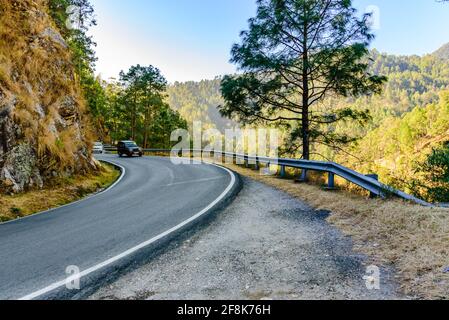 Kurvige bergige Straße durch grünen Wald in Uttarakhand, Indien. Stockfoto