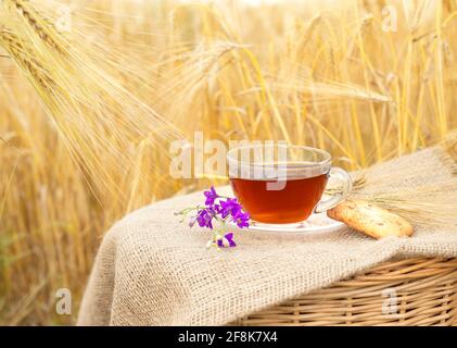 Hausgemachte Haferflocken-Cookies mit einer Tasse Tee auf Leinwand und Weizen Hintergrund. Stockfoto