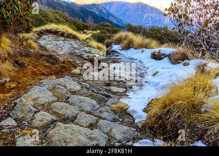 Blick vom steinernen gepflasterten Khalia Top-Wanderweg durch die alpinen Himalaya-Wiesen in Munsiyari, Uttarakhand. Kumaon Himalaya bietet immense opportu Stockfoto