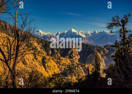 Blick auf die schneegedeckten Panchuli-Gipfel fällt in den großen Himalaya Bergkette & alpine Graswiesen auf dem Weg nach Khalia Top trekk Trail bei Small hamle Stockfoto