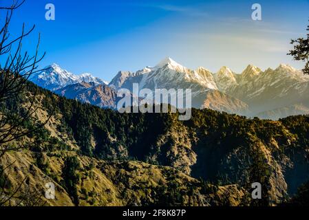 Blick auf die schneegedeckten Panchuli-Gipfel fällt in den großen Himalaya Bergkette & alpine Graswiesen auf dem Weg nach Khalia Top trekk Trail bei Small hamle Stockfoto