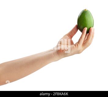 Avocado in der Hand Pfad isoliert auf weiß Stockfoto