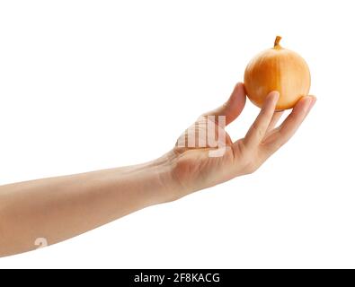 Zwiebel im Handweg isoliert auf weiß Stockfoto