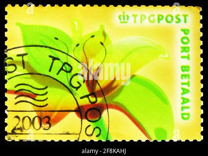 MOSKAU, RUSSLAND - 7. OKTOBER 2019: Die in den Niederlanden gedruckte Briefmarke zeigt Lily - TNT Post, Port Betaald Serie, um 2003 Stockfoto