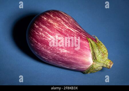 Gestreifte Aubergine auf blauem Hintergrund Stockfoto