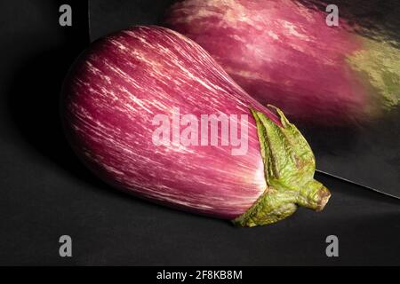 Gestreifte Aubergine auf schwarzem Hintergrund Stockfoto
