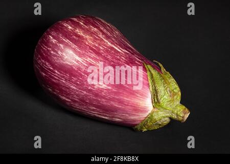 Gestreifte Aubergine auf schwarzem Hintergrund Stockfoto
