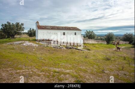 Kleines altes Bauernhaus in der typischen Landschaft von Alentejo Portugal Europa Stockfoto