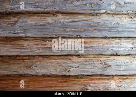 Ein Fragment einer Blockwand, horizontal platziert alte Stämme mit Spuren von Zweigen und Risse mit getrocknetem grauem Moos als Dichtung zwischen den Spalten verwendet. Woo Stockfoto