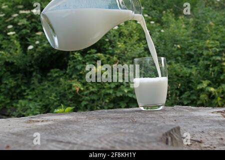 Frische weiße Milch fließt in einem verzierten Strom aus einem Glaskanne in ein klares Glas, das auf dem steht Oberfläche eines großen grauen Stumpf gegen das Laub von Stockfoto