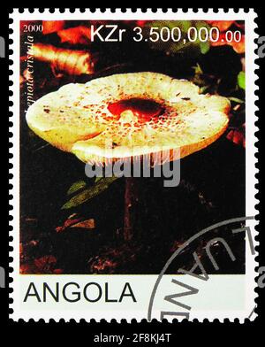 MOSKAU, RUSSLAND - 10. NOVEMBER 2019: Die in Angola gedruckte Briefmarke (Cinderellas) zeigt Lepiota cristala, Pilzserie, um 2000 Stockfoto