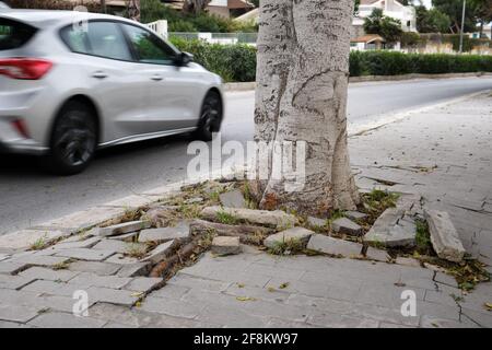 Auto vorbei vernachlässigt und nicht gepflegt Bürgersteig zerbröckelt, weil ein Baum durch sie in Sizilien, Italien gewachsen ist. 2021 Stockfoto