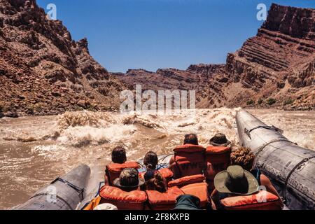 Wildwasser-Rafting in den Big Drop Stromschnellen des Cataract Canyon auf dem Colorado River bei Hochwasser. Canyonlands National Park, Utah. Stockfoto