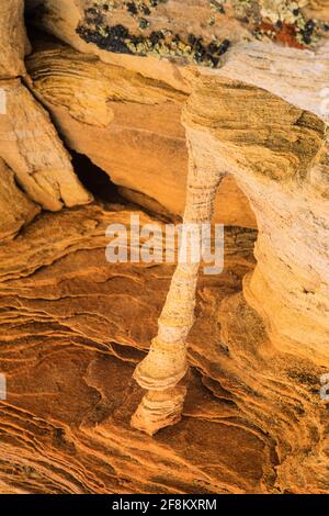 Ein feiner Mikrobogen aus Navajo-Sandstein in North Coyote Buttes, Paria Canyon-Vermilion Cliffs Wilderness, Vermilion Cliffs National Monument, Arizona. Stockfoto