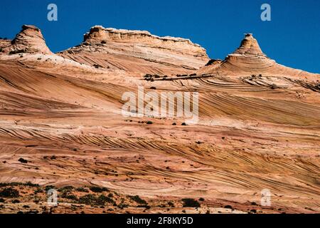 Bei den erosionsgeformten Teepissen in Coyote Buttes handelt es sich um gekreuzten äolischen jurassischen Navajo-Sandstein. Paria Canyon-Vermillion Cliffs Wilderness Area, Vermili Stockfoto