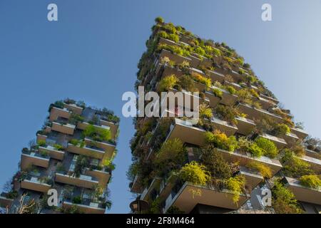 mailand italien märz 29 2021: Bosco Verticale "neue und moderne Wolkenkratzer mit Bäumen wachsen auf den Balkonen, im Isola-Viertel von Mailand, die Ref Stockfoto