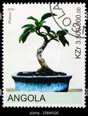 MOSKAU, RUSSLAND - 10. NOVEMBER 2019: Die in Angola gedruckte Briefmarke (Cinderellas) zeigt Prunus, Bonsai-Serie, um 2000 Stockfoto