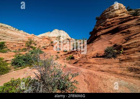 Zion National Park in Utah, USA Stockfoto