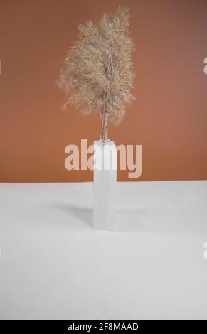 Pampas Gras in einer undurchsichtigen Glasvase. Minimale abstrakte Komposition Hintergrund. Japanische Inneneinrichtung. Skandinavische Inneneinrichtung. Zwei trendige Farben. Stockfoto