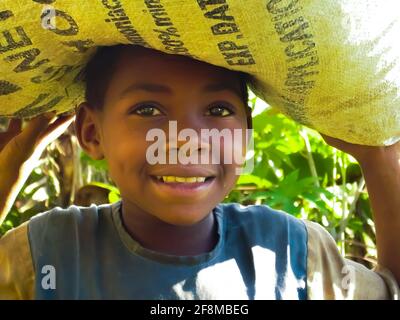 Ugandischen Jungen trägt Lieferungen nach Hause, so dass die Arbeit einfach aussehen, mit seinem starken Hals und Schultern. Bwindi Impenetrable Nature Reserve, Uganda. Stockfoto