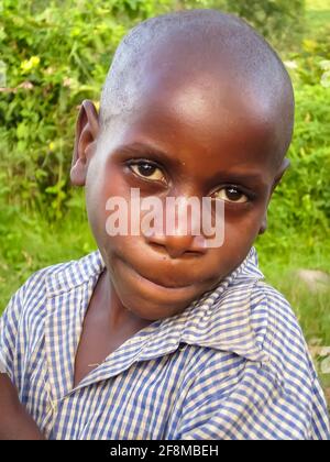 Hautnah mit einem jungen Batwa Pygmy im Echuya Forest Reserve, Bwindi Impenetrable Nature Reserve, Uganda. Stockfoto