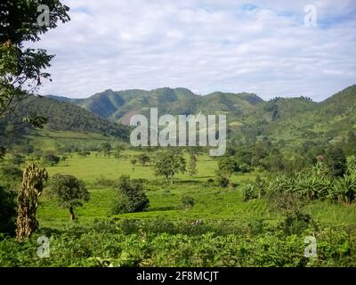 Die majestätischen Berge und Regenwälder des Bwindi Impenetrable National Park in Uganda, Ostafrika. Stockfoto