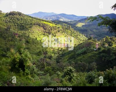 Majestätische Berge und Regenwälder des Bwindi Impenetrable National Park in Uganda, Ostafrika. Stockfoto