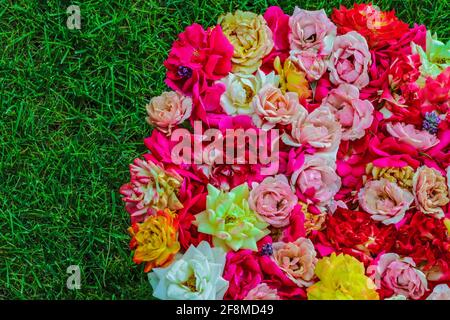 Ein Bouquet von bunten Rosen, die in einem Kreis auf dem grünen Sommerrasen stehen Stockfoto