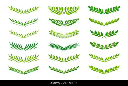 Grüner halbrunder Form Vintage Kranz Icon Set. Handgezeichnete Blumenblatt Ornament Rahmen für Ihr Design Darstellung blättrige Grenzen. Lorbeer- oder Olivenzweig. Toll für Emblem. Isolierte Vektordarstellung Stock Vektor