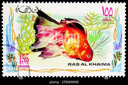 MOSKAU, RUSSLAND - 4. OKTOBER 2019: Die in Ras Al Khaimah gedruckte Briefmarke zeigt Goldfisch (Carassius auratus var.), Fischserie, um 1972 Stockfoto