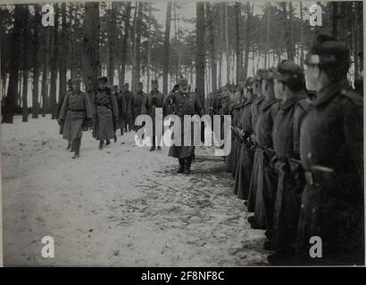 Die Kommandierung des deutschen Ostemischen Generalfeldmarschalls Prinz Leopold von Bayern insoziert die Wiener Truppen der Infanteriedivision von 25. Stockfoto