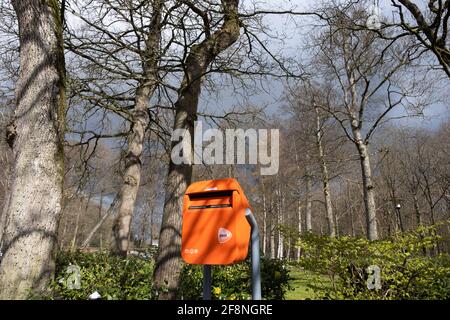 Typischer holländischer orangefarbener Briefkasten mit PostNL-Logo, der sich im Frühjahr in einer Straße entlang eines Parks mit Bäumen und Sonne befindet Stockfoto