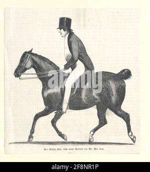 Peel, Sir Robert . Stockfoto