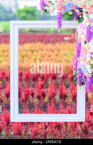 Schöne bunte chinesische Wolle Blumenpark mit Bilderrahmen Stockfoto