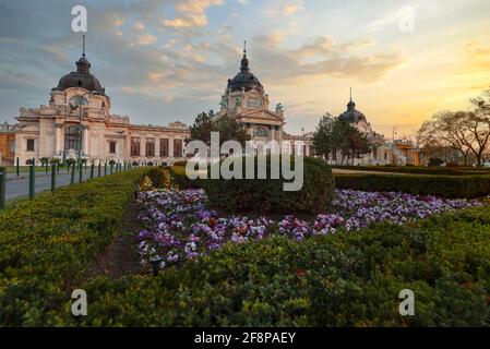 Erstaunliches Frühlingsmood-Foto über das berühmte und alte Thermalbad in Budapest ungarn. Dieser Ortsname ist Szechenyi Thermalbad Stockfoto