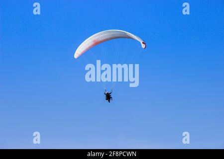 Touristen, die auf einem Gleitschirm fliegen, fliegen am blauen Himmel an einem hellen Tag. Der Sportler Gleitschirmfliegen. Stockfoto