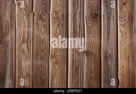 Feder und Nut Kiefer Holz Wand. Dunkel verknotet und verwittert aussehen Stockfoto