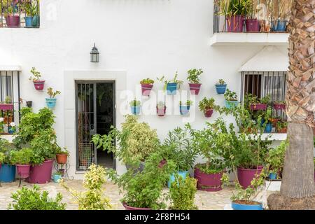 Wunderschönes weißes Gebäude, dekoriert mit Dutzenden von Blumen in Vejer de la Frontera, Spanien Stockfoto
