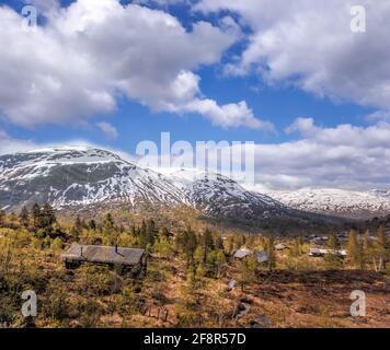 Norwegen mit Landschaft im Frühling. Eisenbahn von Flam nach Myrdal in Norwegen Stockfoto