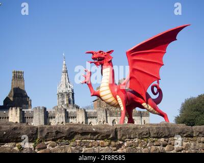 Chinesischer Roter Drache im Schloss Cardiff Stockfoto