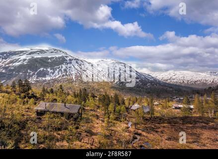 Norwegen mit Landschaft im Frühling. Eisenbahn von Flam nach Myrdal in Norwegen Stockfoto