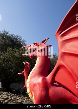 Chinesischer Roter Drache im Schloss Cardiff Stockfoto